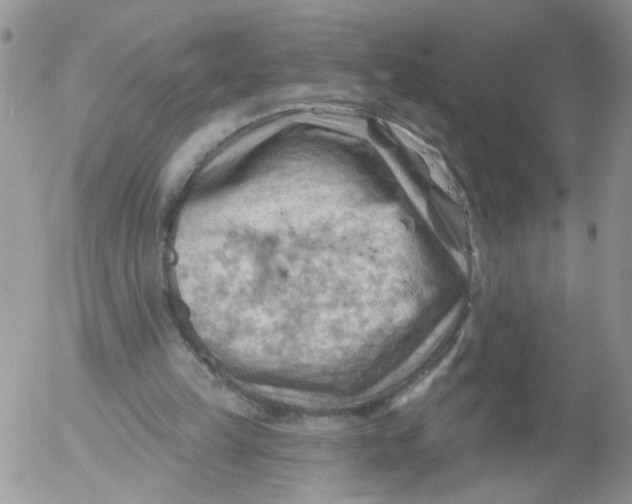 X0000053080149200508012015