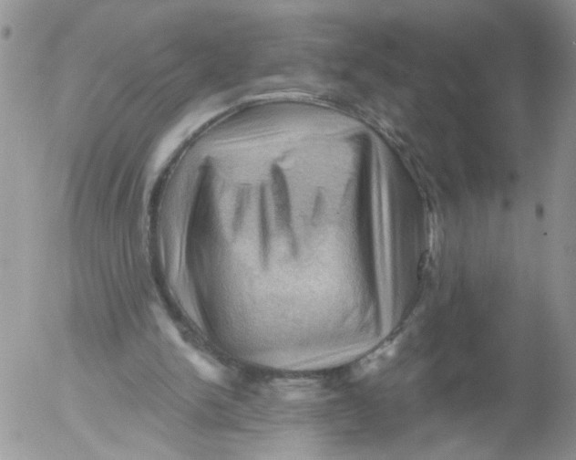 X0000053080150200508012015