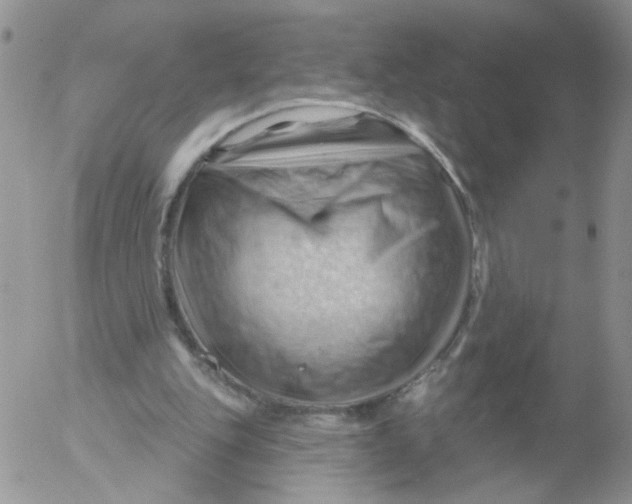 X0000053080151200508012015