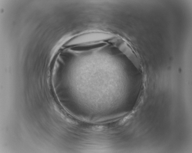 X0000053080152200508012015