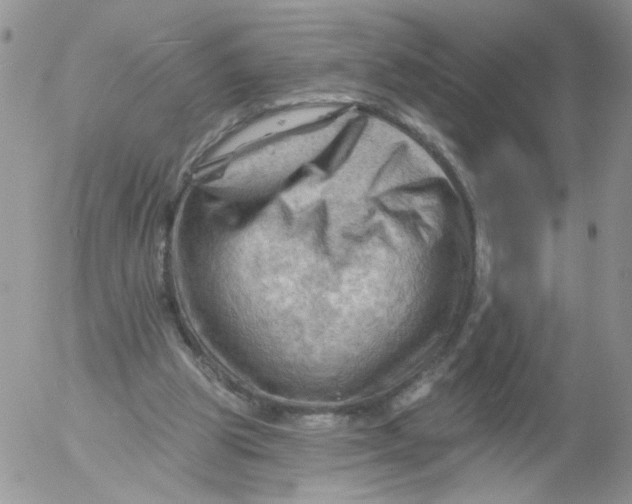 X0000053080153200508012015