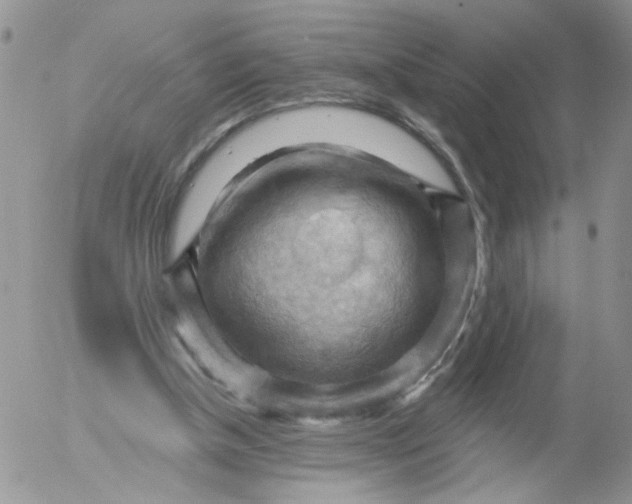 X0000053080154200508012015