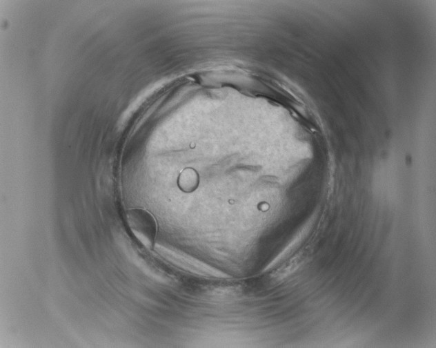 X0000053080155200508012015