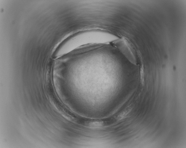 X0000053080156200508012015