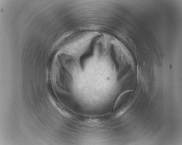 X0000053080157200508012015