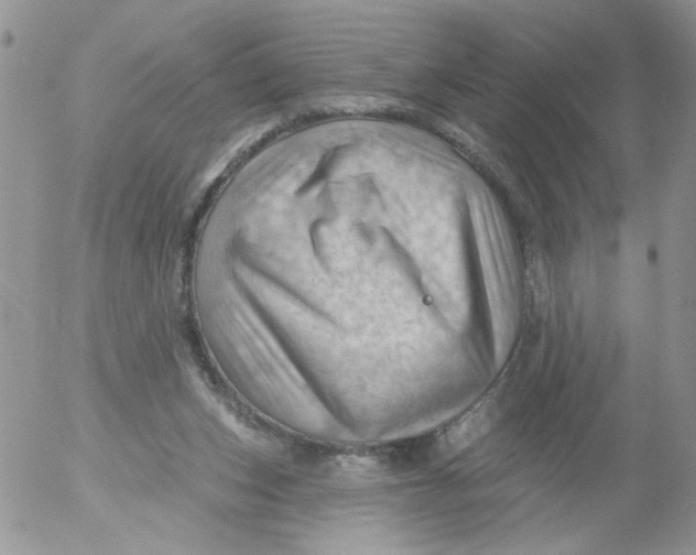 X0000053080159200508012015