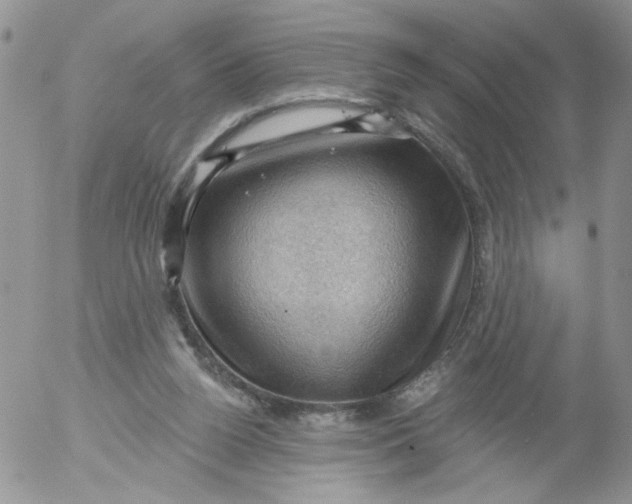 X0000053080160200508012015