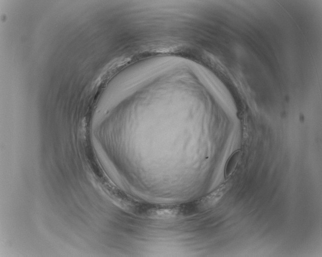 X0000053080163200508012015