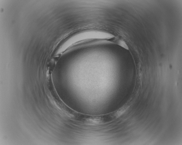 X0000053080164200508012015