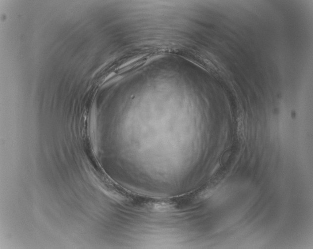 X0000053080165200508012015