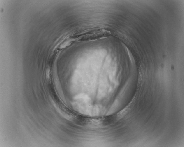 X0000053080166200508012015