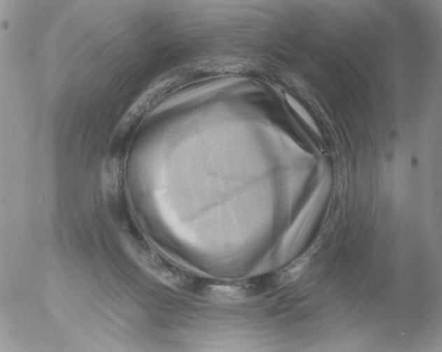 X0000053080167200508012015