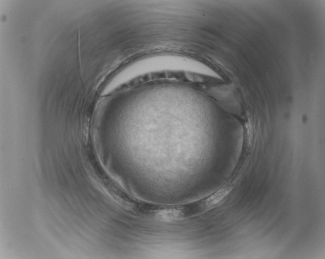 X0000053080168200508012015