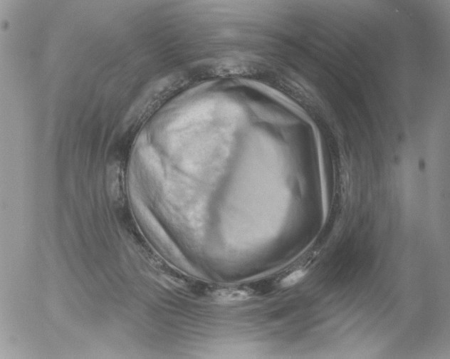 X0000053080169200508012015