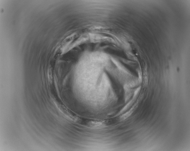 X0000053080170200508012015