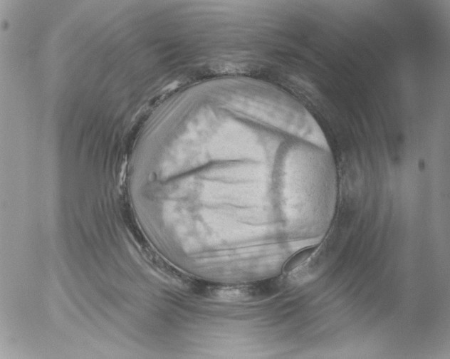 X0000053080171200508012015