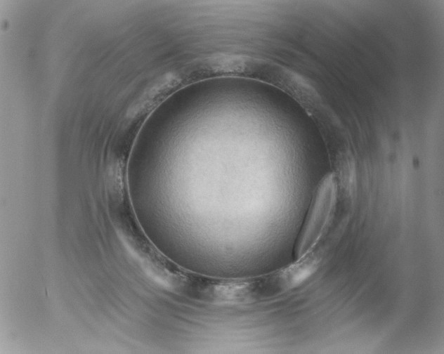 X0000053080172200508012015