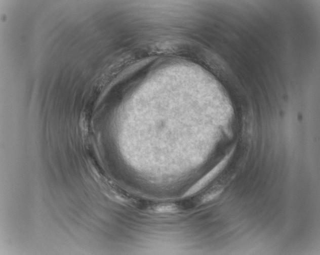 X0000053080173200508012015