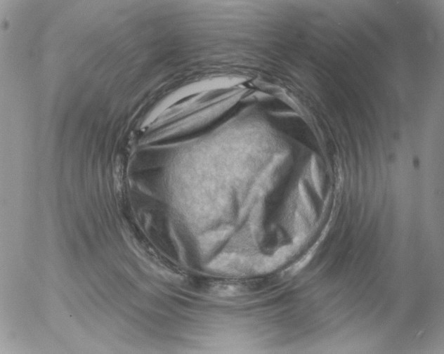 X0000053080174200508012015