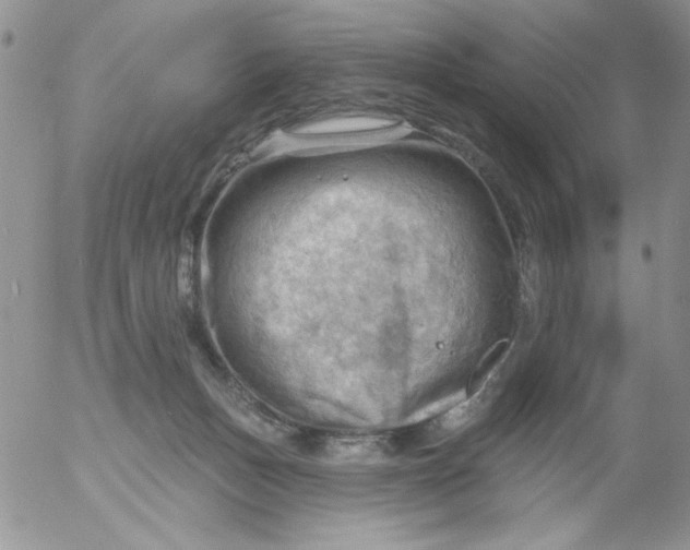 X0000053080175200508012016