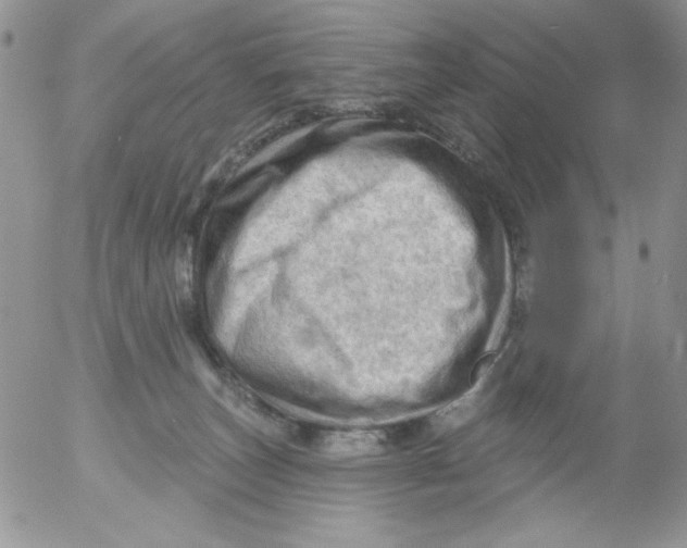 X0000053080179200508012016