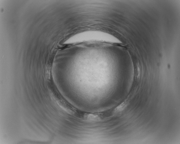 X0000053080180200508012016