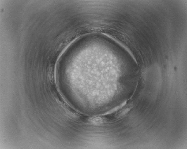 X0000053080181200508012016