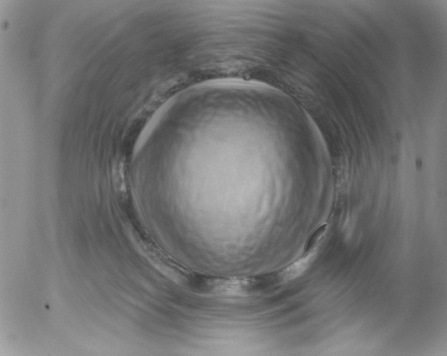 X0000053080182200508012016