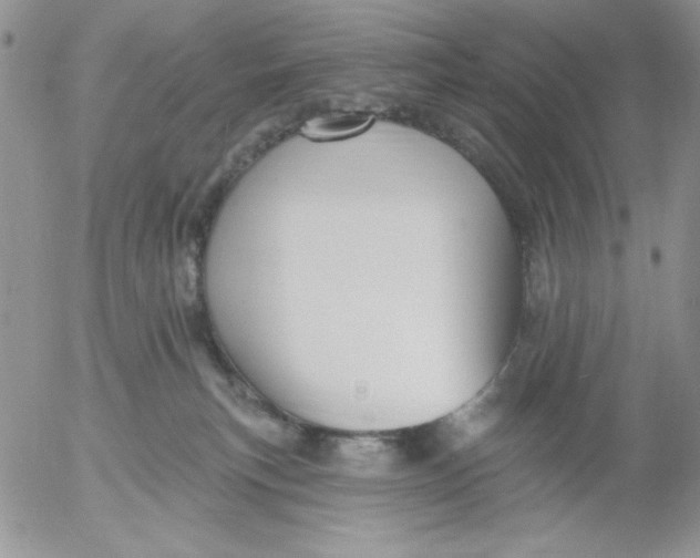 X0000053080183200508012016