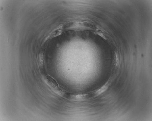 X0000053080184200508012016