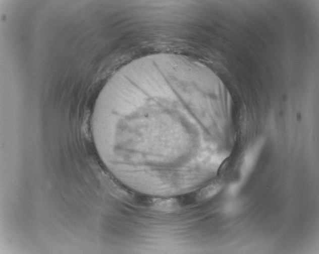 X0000053080185200508012016