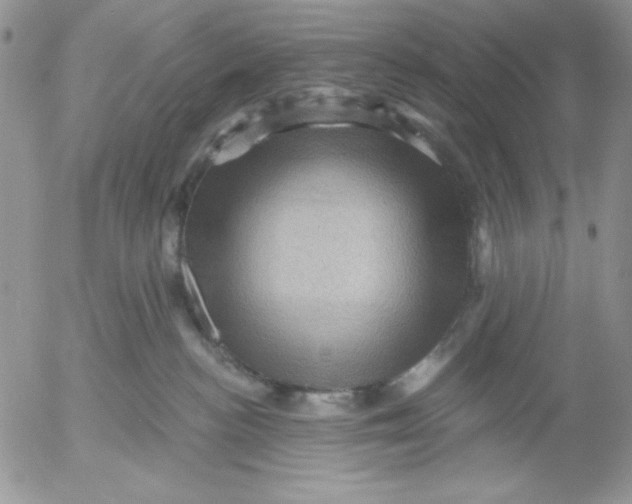 X0000053080188200508012016