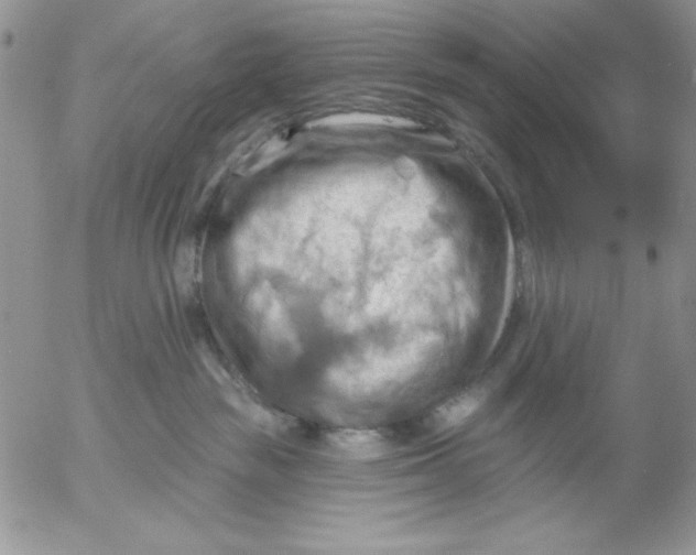 X0000053080189200508012016