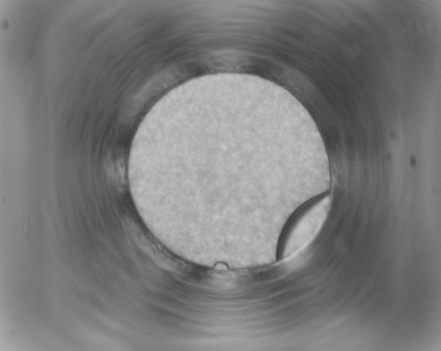 X0000053080190200508012016