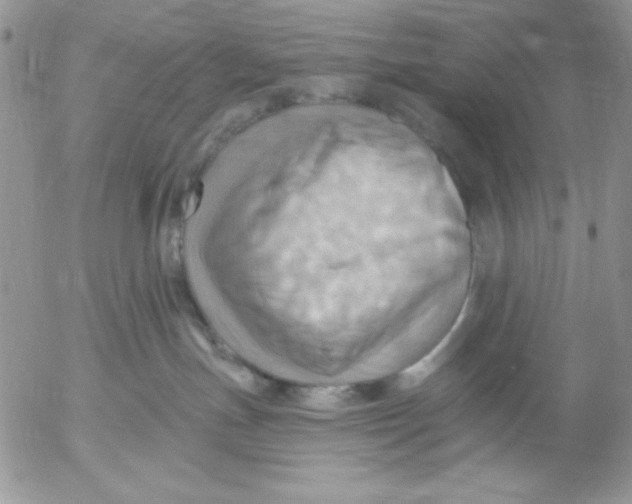 X0000053080191200508012016