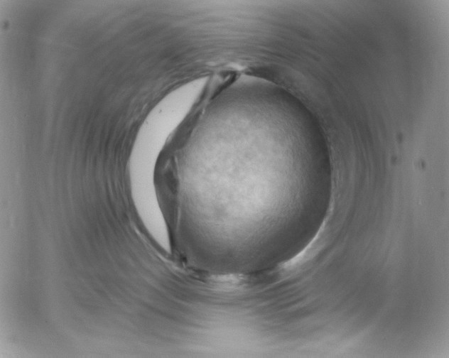 X0000053080192200508012016