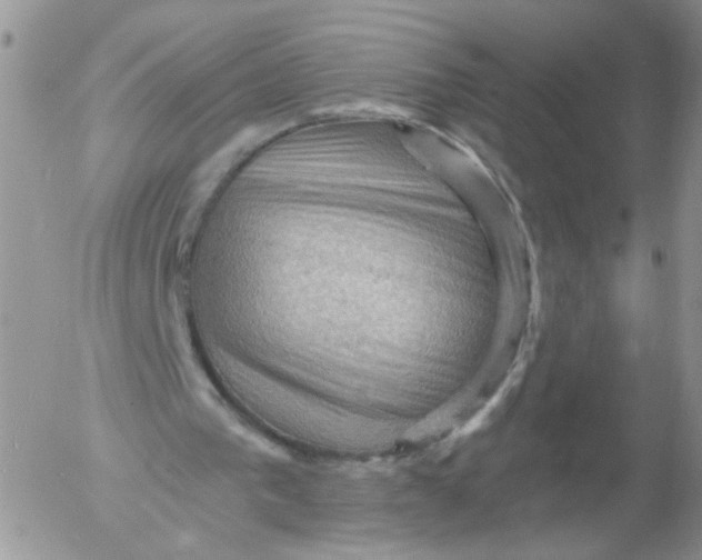 X0000053080193200508012015