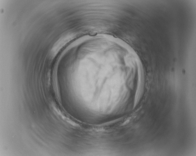 X0000053080194200508012015