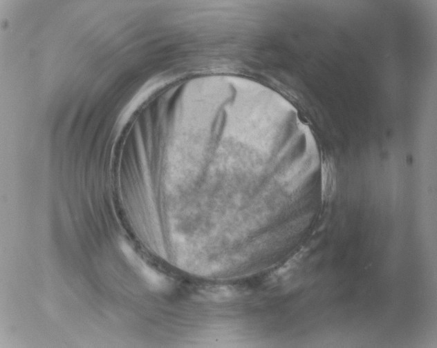 X0000053080195200508012015