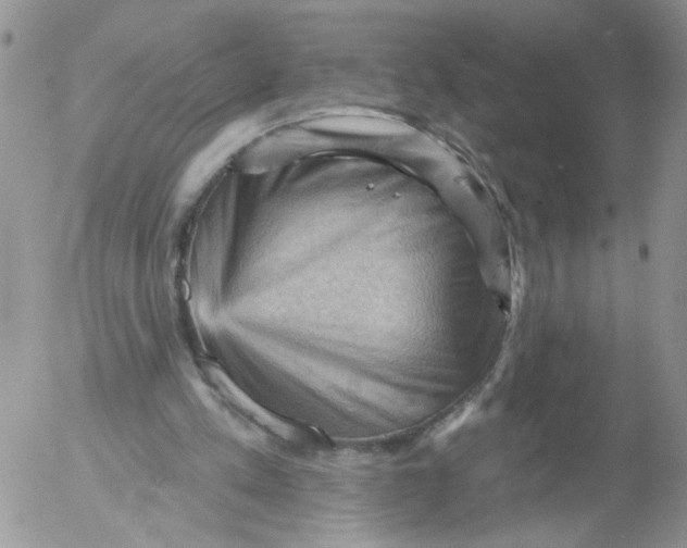 X0000053080197200508012015