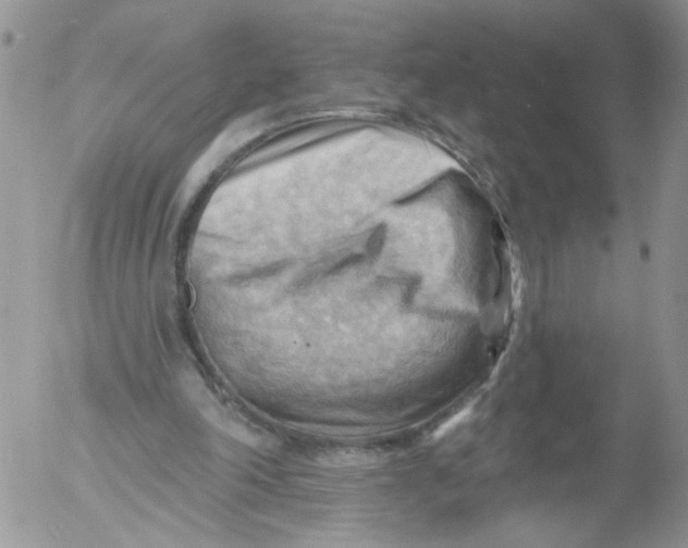 X0000053080198200508012015