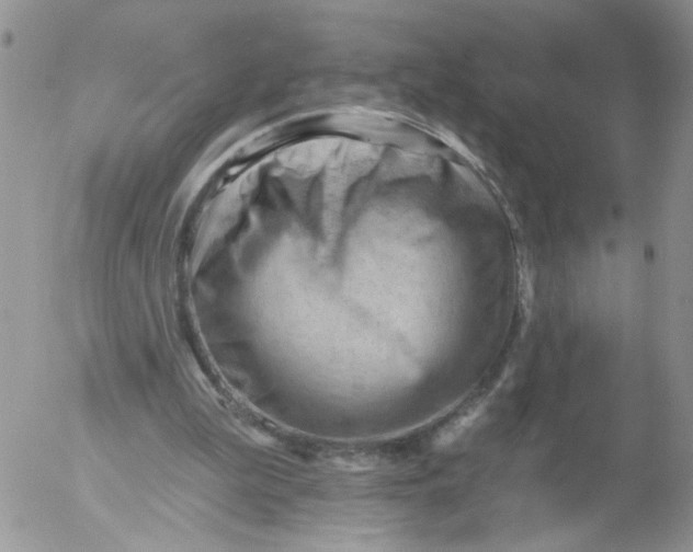 X0000053080199200508012015