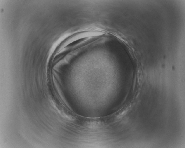 X0000053080200200508012015