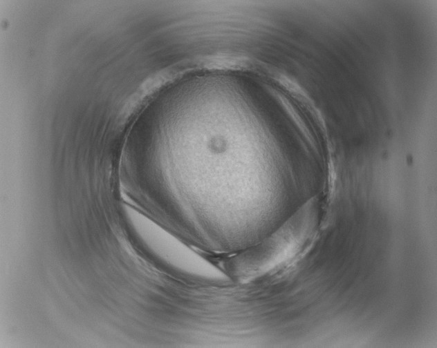 X0000053080201200508012015