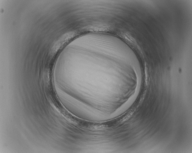 X0000053080202200508012015