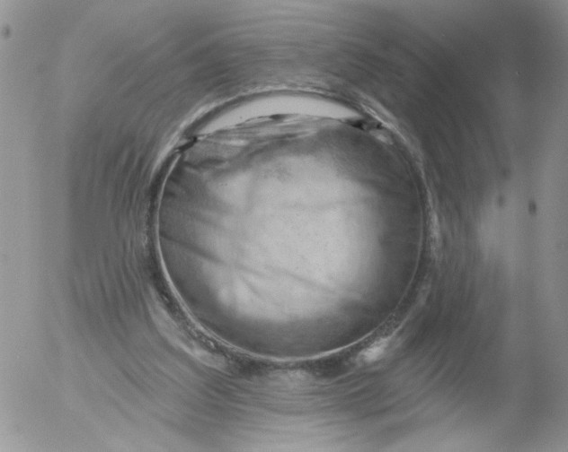 X0000053080203200508012015