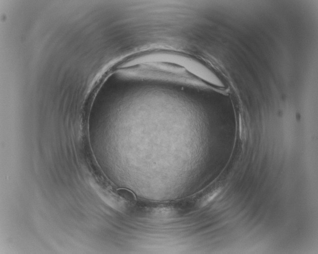 X0000053080204200508012015