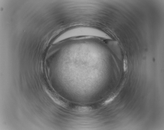 X0000053080205200508012015