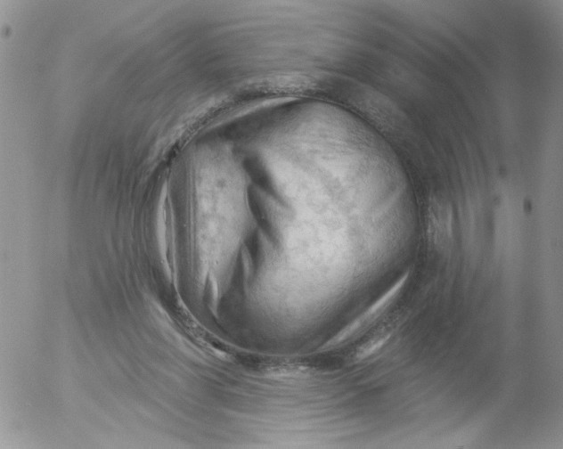 X0000053080206200508012015