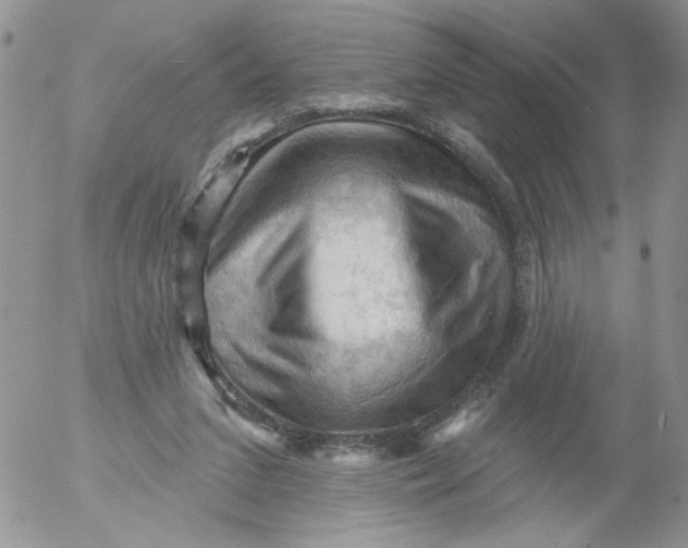 X0000053080207200508012015